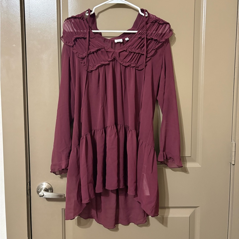 Aritzia sheer burgundy lace dress